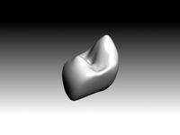 first premolar mandibular crown.3DS