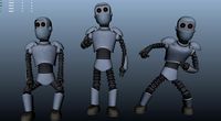 Robot