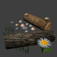 Nature Assets