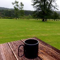 Traveling Mug
