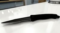 Combat Knife