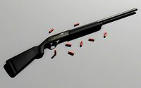 shotgun