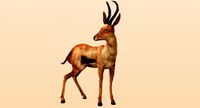 Buck Museum Specimen (Rigged)(Fur)