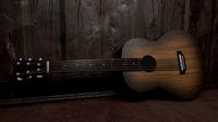 Acoustic Guitar