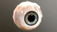 Eye low polygonal Eyes for games VR / AR / low-poly 3D model