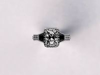 Ring Mount 007