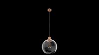 light pendant globe