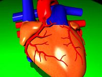 HEART.max