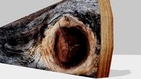 Realistic Wooden Rusty Plank