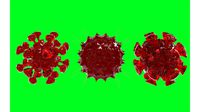 Coronavirus Imagined 3D rendering