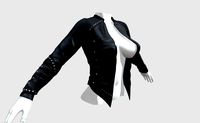 Female Clothes V2