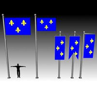 FLAG F 011