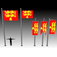 FLAG F 003