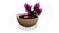 bonsai tree & swing
