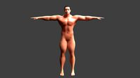 Bodyguard Muscular Animated Male Rigged