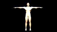 Muscular Male For Game