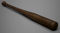 Baseball Bat