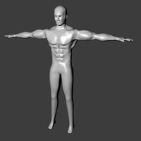 Body