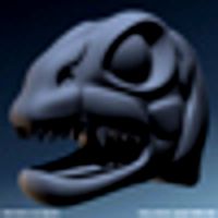 SwampMage-Face