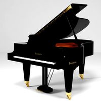 Bosendorfer grand piano