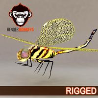 Dragonfly Detail Rigged