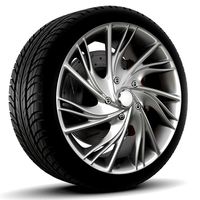 Yamato-Tahiro-no-Sotoi  Rim and Tyre
