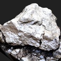 Photogrammetry Stone 3D 09