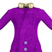 Womens Purple Coat