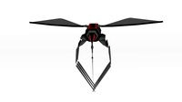 Mosquito