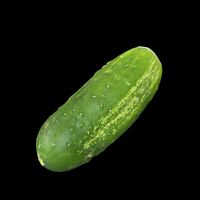 cucumber