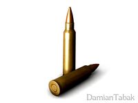 5.56 Bullet
