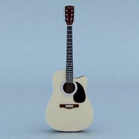 Acoustic Steel Strings guitar