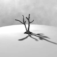 Nut Tree