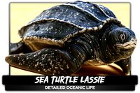 Sea Turtle - Lassie Reptile - Underwater Monster Creature - 36