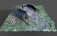tree stump