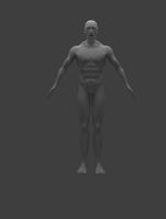 medium poly base mesh male body, Object + blender