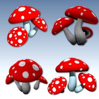 Mushroom