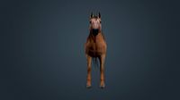 Horse Fawn 2