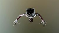Creature Zombie Y