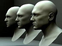 3 Male Heads/ Busts