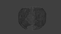 Parametric