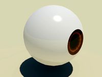 Eye