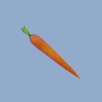 Carrot