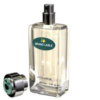 Luxury Modern Glass Perfume Bottle Visualization