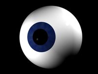 eye