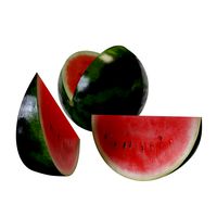Watermelon with piece
