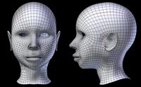 Female Head Base Mesh