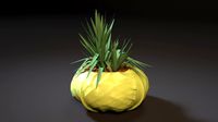 cabbage planter