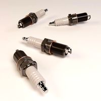 Spark Plug