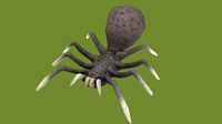 Spider